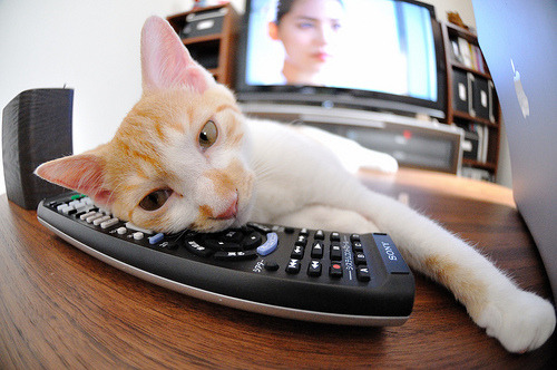 榜尾之战:保级区排名每日变化,进入“生死战”阶段