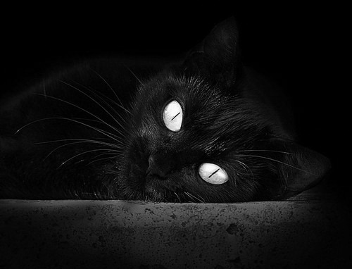 爱游戏体育-莱比锡红牛客场胜弗赖堡，德甲积分形势再度洗牌，莱比锡红牛德甲战绩