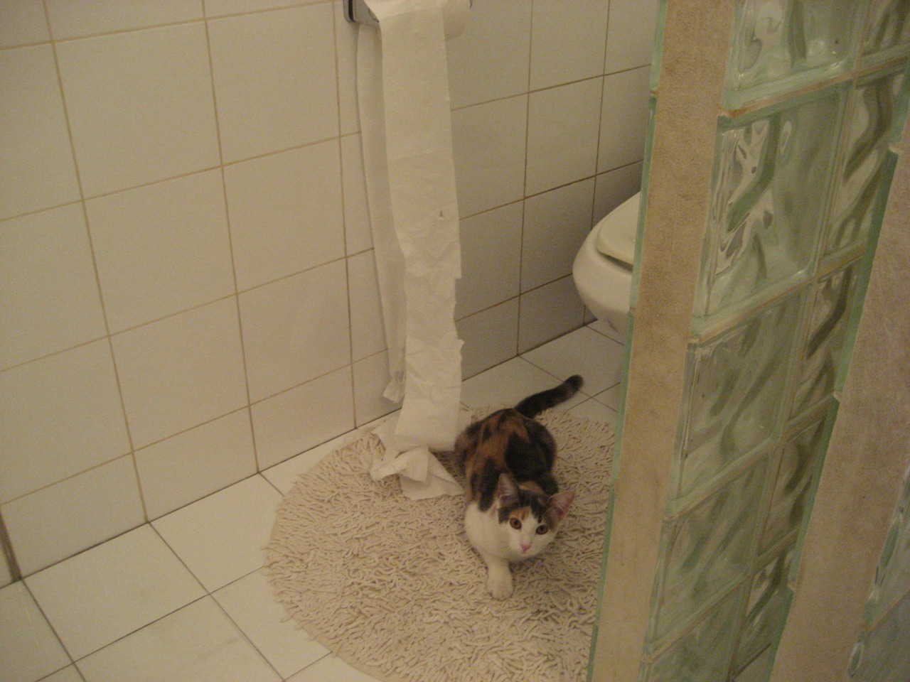 足球圈反腐成果显著，行业风气改善，足球圈的梗