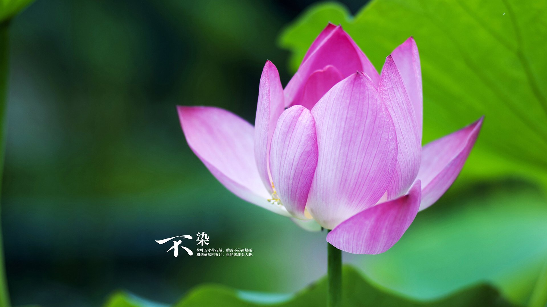 重点城市建设足球主题公园，推广全民运动，足球体育公园