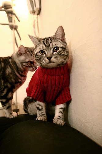 爱游戏入口-青少年“科技+篮球”融合创新试点在武汉成功推进，推动行业数字转型