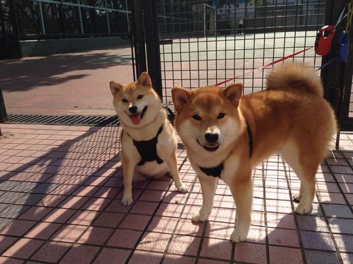 伊朗队后卫佩雷斯在巴黎奥运会上表现出色，伊朗第一后卫