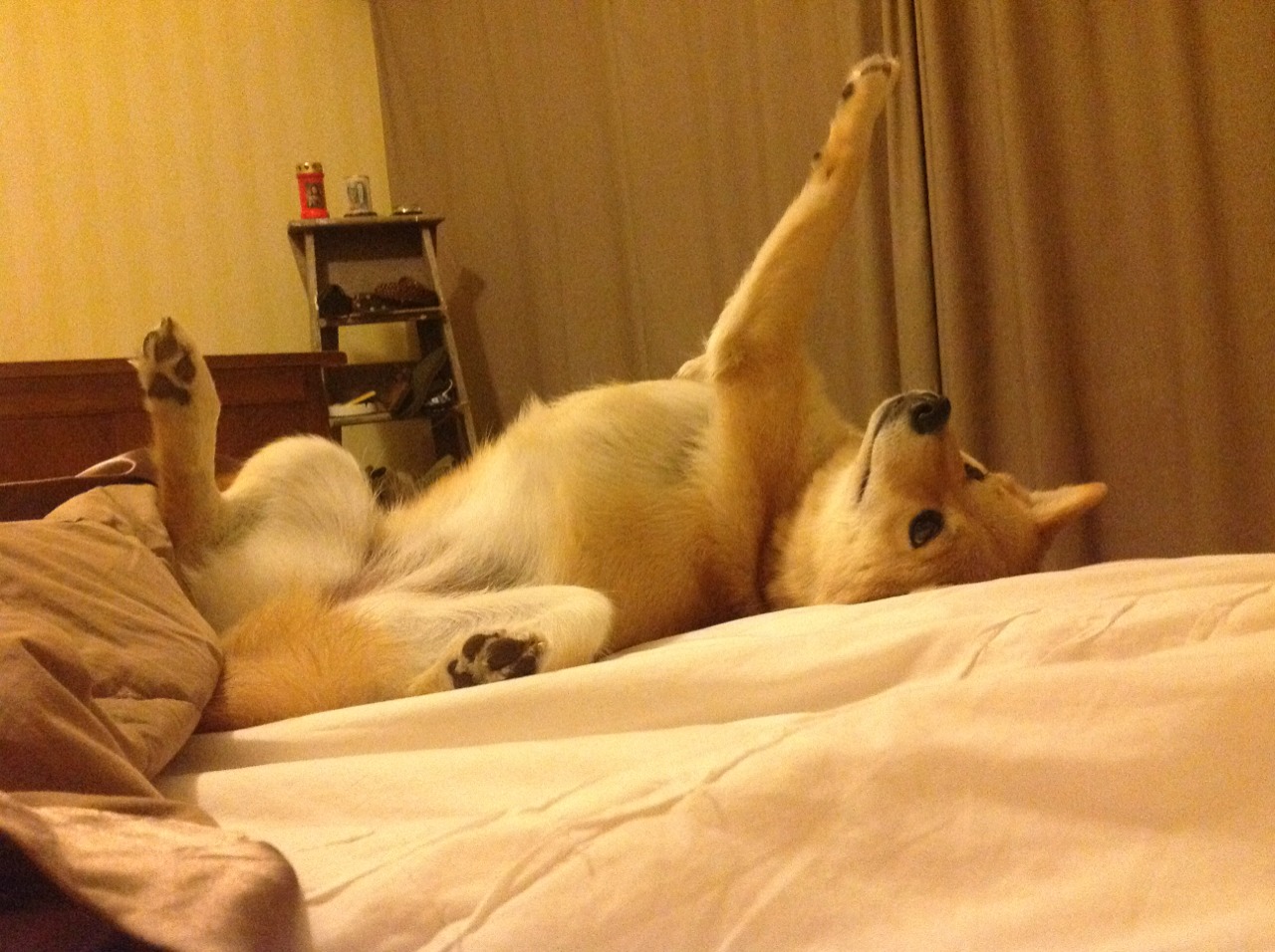 哥伦比亚女足在巴黎奥运会上展示了高水平的比赛状态,哥伦比亚足球美女