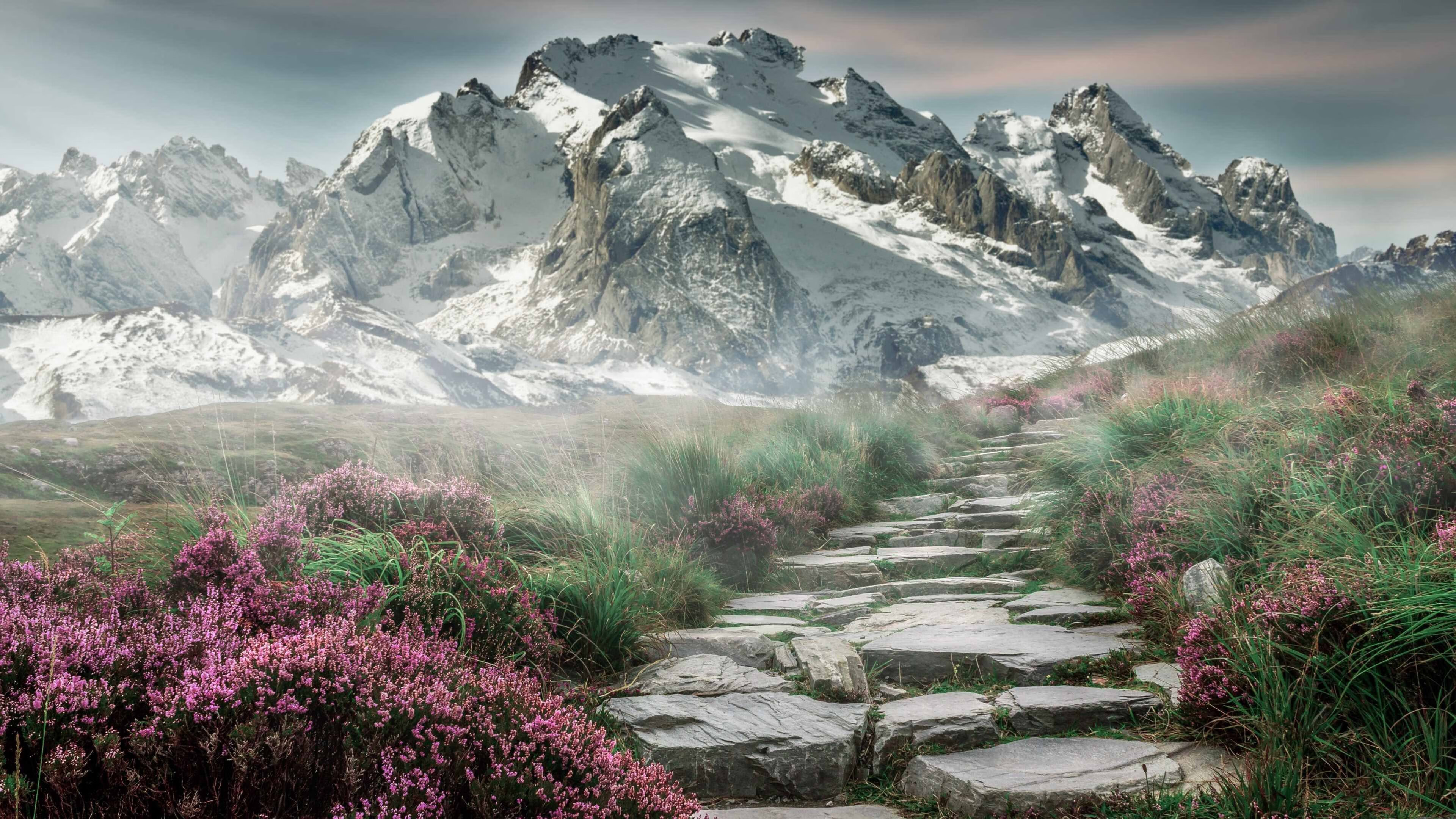 爱游戏下载-外援球员发挥出色，成为球队利器，外援好吗