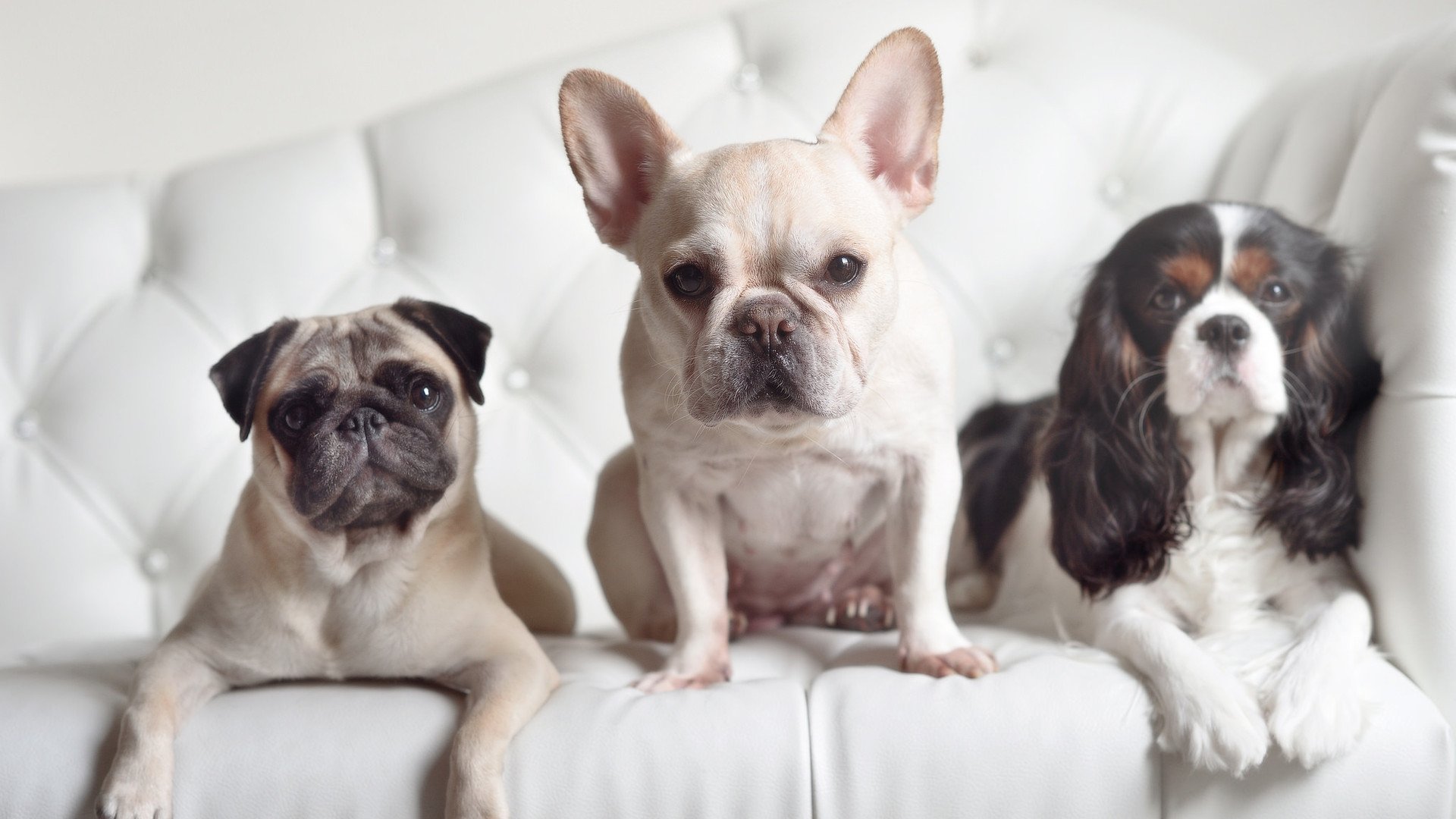 中国篮球青少年篮球发展政策评估与对策，中国青少年篮球发展现状