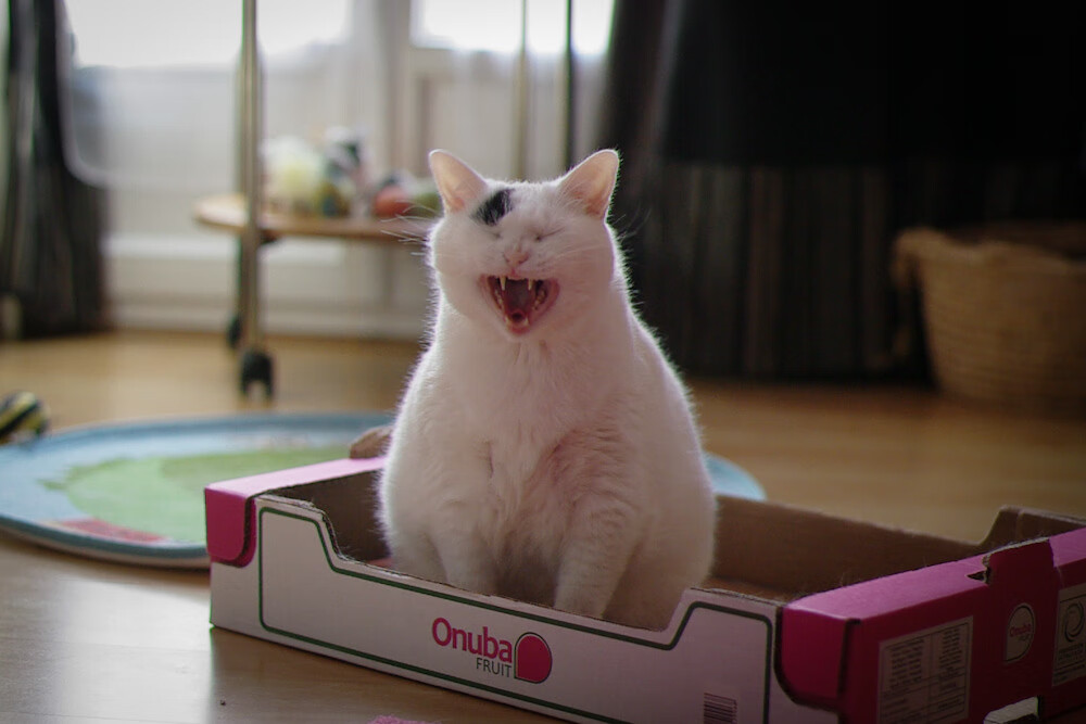 中超联赛比赛节奏分析，中超比赛赛制