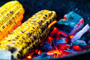 AYX爱游戏中国-运动饮食干预对运动表现的促进研究，举例阐述饮食运动对健康的意义