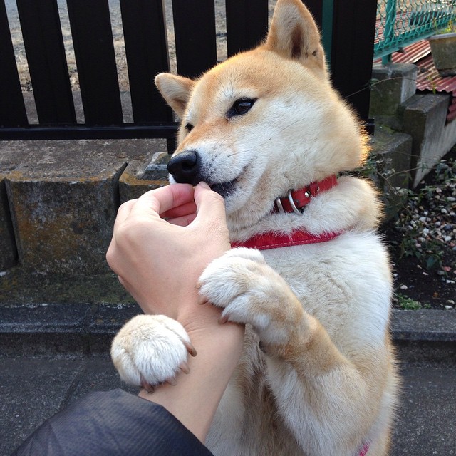 中国男篮强化投篮训练 提高得分能力，中国男篮投手