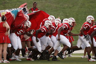 爱游戏中国官网-国家队技战术水平提升瓶颈，国家技巧队