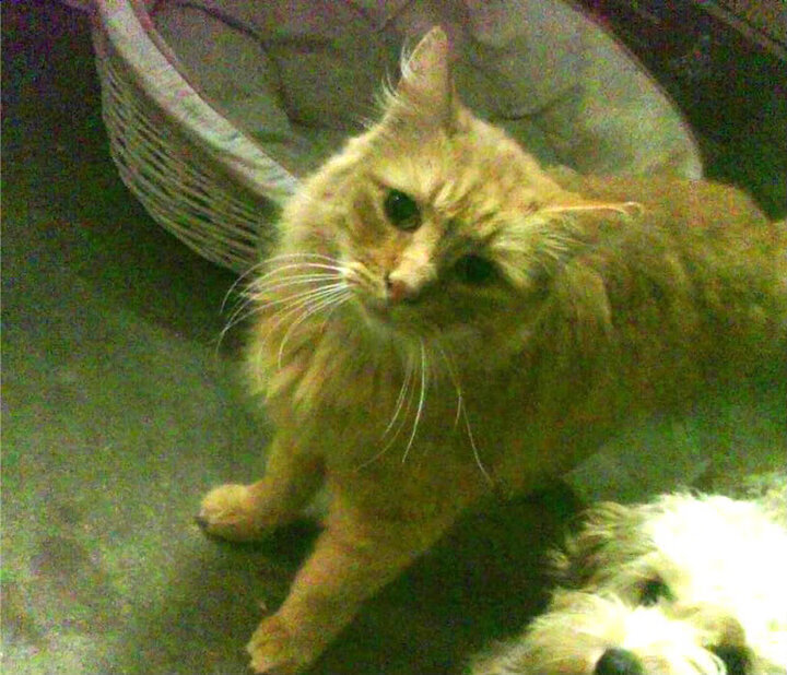 国际热身赛中国队逆袭 球员精神令人动容,足球国际热身赛